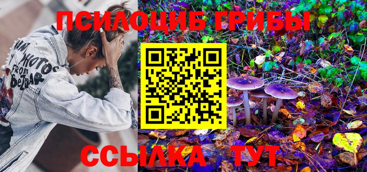 Псилоцибиновые грибы Magic Shrooms Михайловск