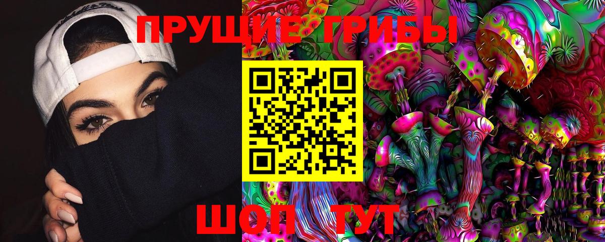 Псилоцибиновые грибы Psilocybe  Вход с VPN  Михайловск 